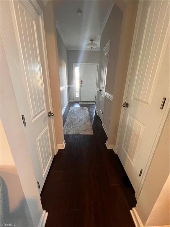 hall featuring dark hardwood / wood-style floors and crown molding