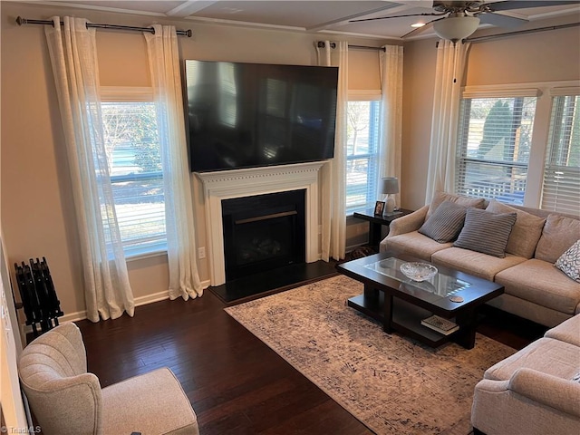 living room featuring dark hardwood / wood-style floors, ceiling fan, and ornamental molding