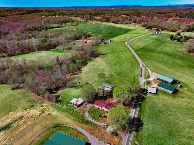 bird's eye view
