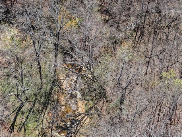 drone / aerial view with a forest view