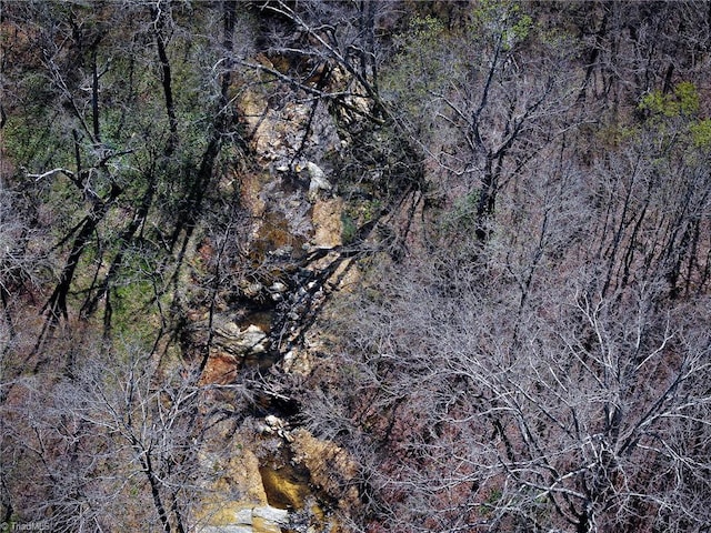 birds eye view of property with a wooded view