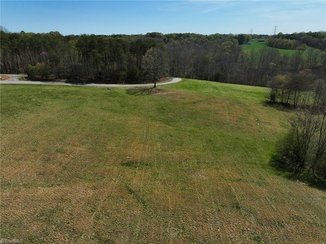 view of yard featuring a forest view