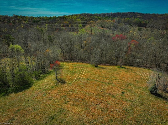 birds eye view of property with a forest view