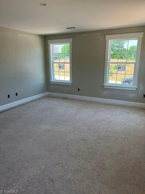 carpeted spare room featuring a wealth of natural light