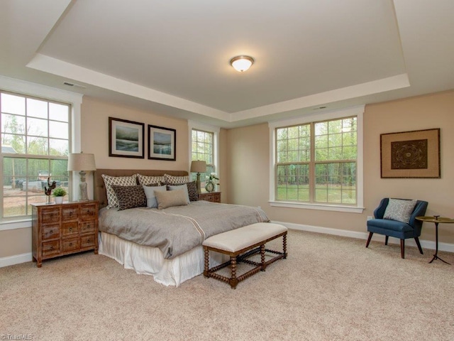 carpeted bedroom featuring a tray ceiling