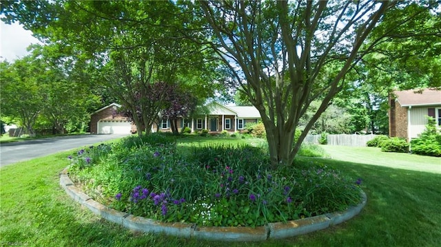 view of yard with asphalt driveway and a garage