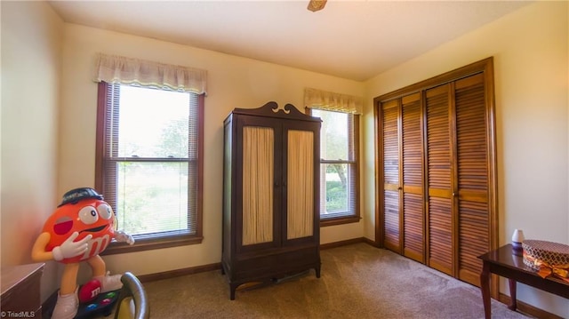 living area featuring carpet flooring and baseboards