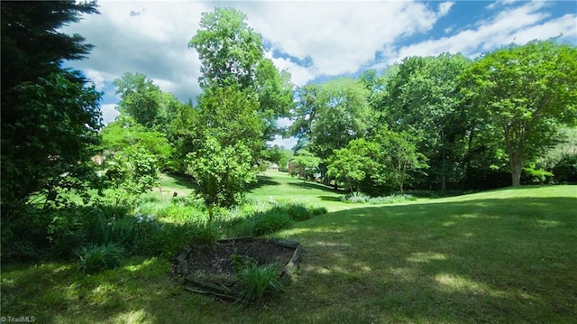 view of green lawn