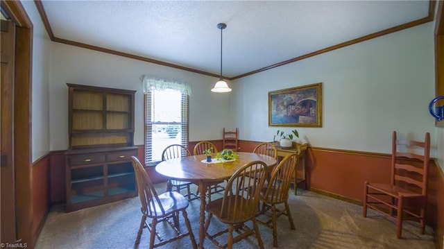 dining space featuring carpet, ornamental molding, wainscoting, and a textured ceiling