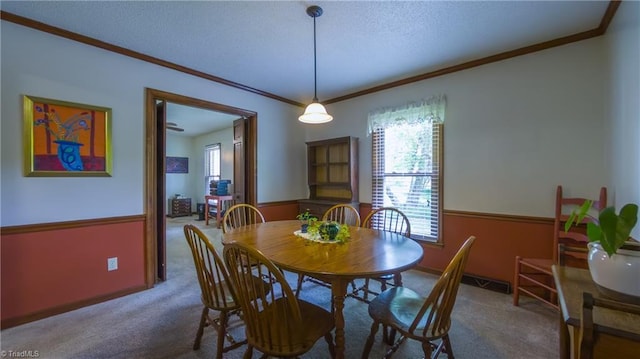 dining space with ornamental molding, carpet flooring, a textured ceiling, and baseboards