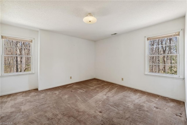 401 Joyce Rd, Hillsborough, NC 27278 - unfurnished room with carpet flooring, visible vents, a textured ceiling, and a wealth of natural light