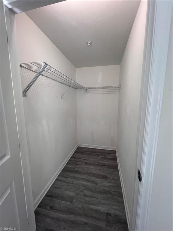 spacious closet with dark hardwood / wood-style flooring