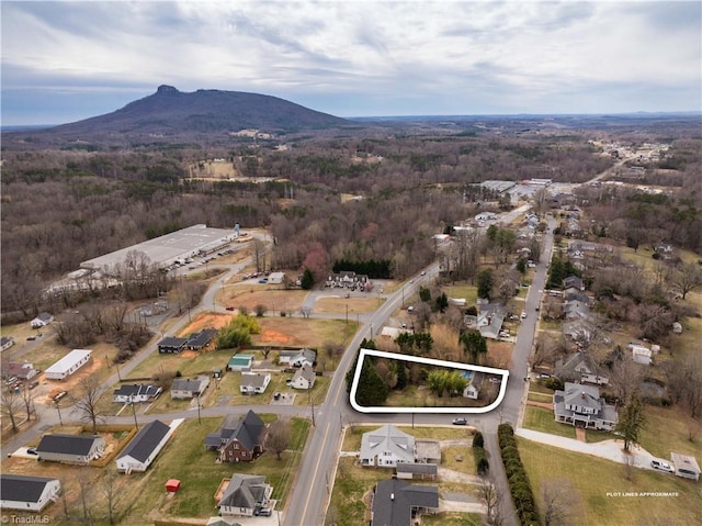 drone / aerial view featuring a mountain view