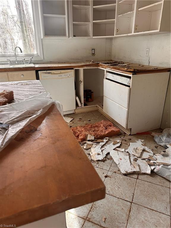 kitchen with dishwasher and a sink