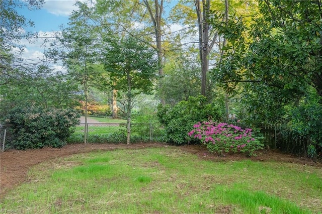 view of yard featuring fence
