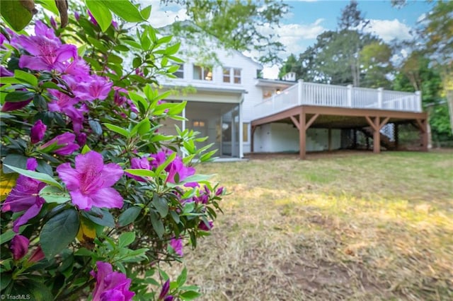 rear view of property with a wooden deck, a yard, and a sunroom