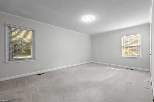211 Forestview Dr, Elon, NC 27244 - carpeted spare room with ornamental molding, plenty of natural light, and a textured ceiling