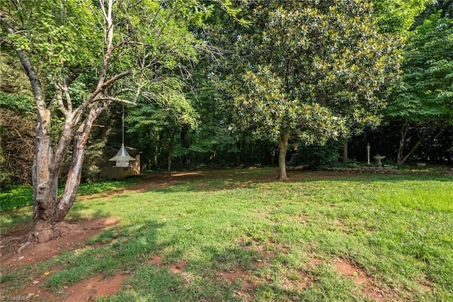 211 Forestview Dr, Elon, NC 27244 - view of green lawn