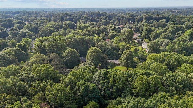 211 Forestview Dr, Elon, NC 27244 - aerial view of property's location with a forest