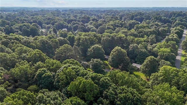 211 Forestview Dr, Elon, NC 27244 - bird's eye view of a heavily wooded area