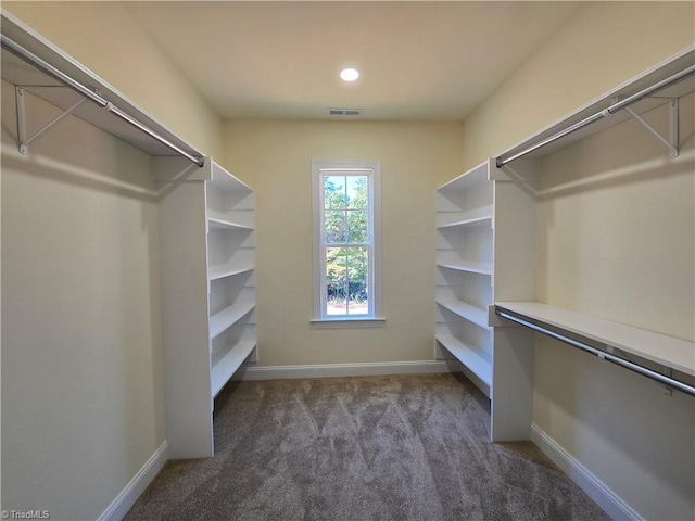 spacious closet with dark colored carpet