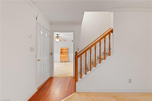 entryway featuring ceiling fan, wood-type flooring, and ornamental molding