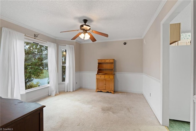 unfurnished room with plenty of natural light, a textured ceiling, and light carpet