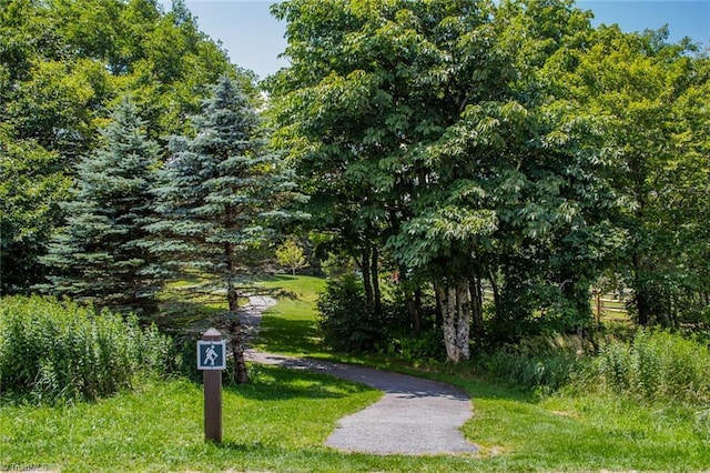 view of home's community with a lawn