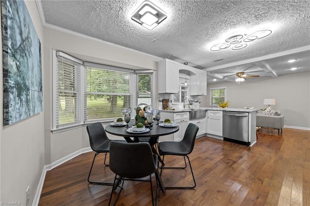 dining space featuring a textured ceiling, plenty of natural light, dark hardwood / wood-style flooring, and sink