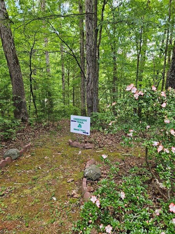 12088 Burlington Rd, Hurdle Mills, NC 27541 - exterior view of a heavily wooded area