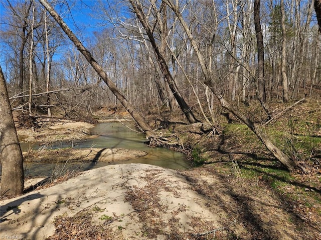 12088 Burlington Rd, Hurdle Mills, NC 27541 - water view