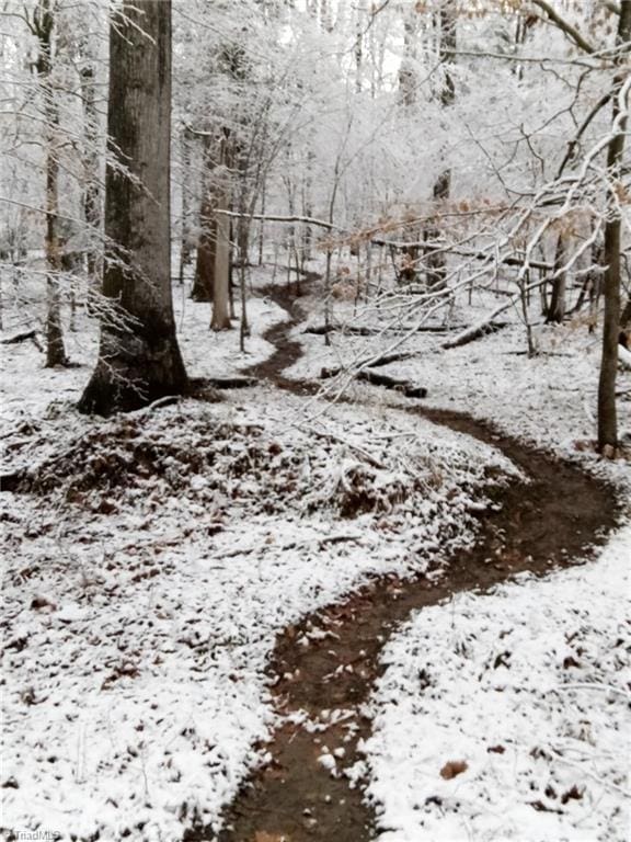 12088 Burlington Rd, Hurdle Mills, NC 27541 - view of snowy view