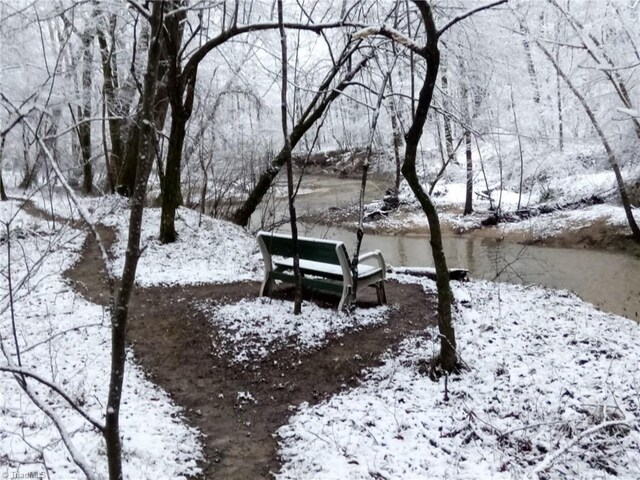 12088 Burlington Rd, Hurdle Mills, NC 27541 - view of snowy yard