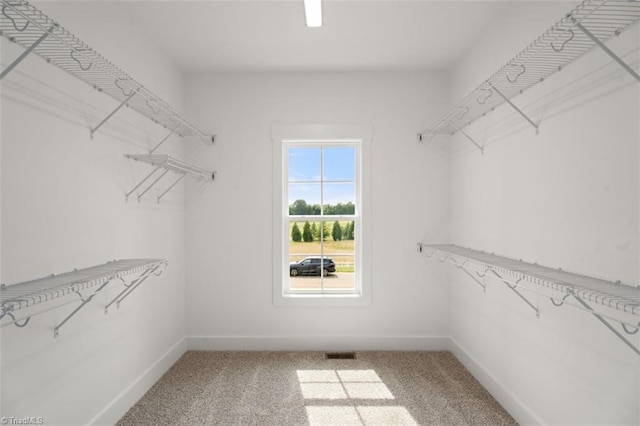 walk in closet featuring carpet flooring