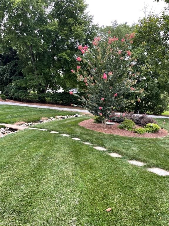 2863 Spencer Rd, Archdale, NC 27263 - view of green lawn