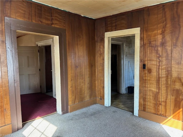 empty room featuring wood walls and carpet