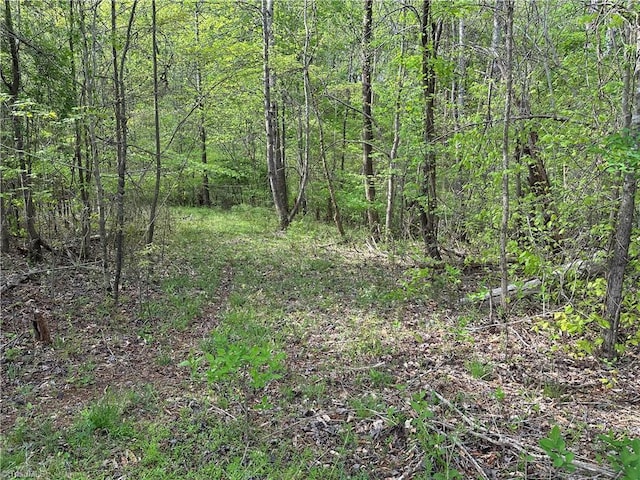 view of local wilderness featuring a view of trees