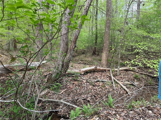 view of landscape