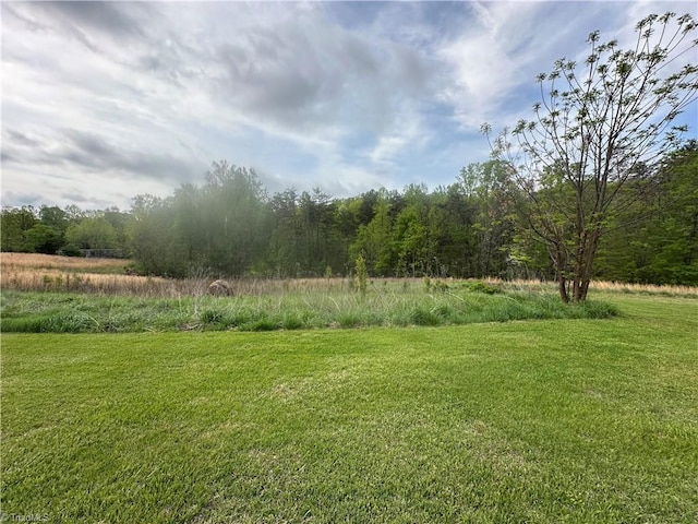 view of yard with a wooded view