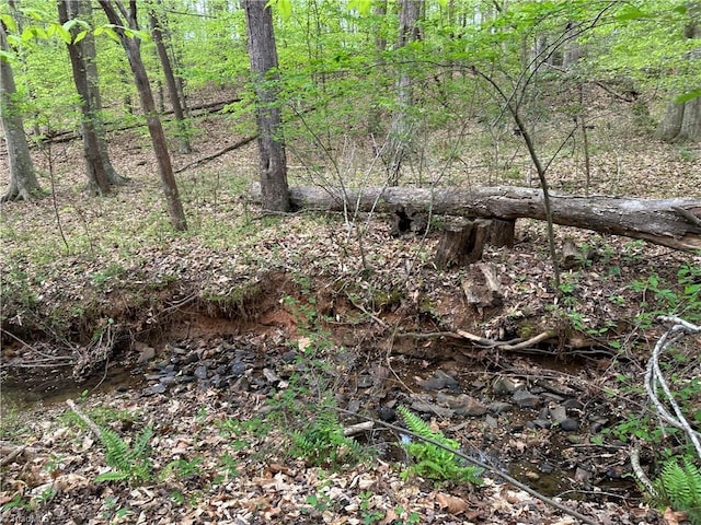 view of nature