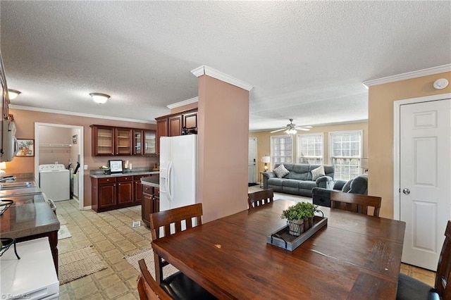 dining area featuring a ceiling fan, crown molding, light floors, and a textured ceiling