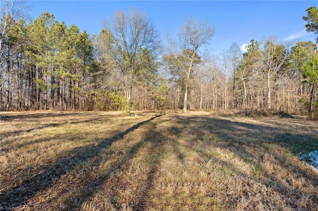 view of yard featuring a forest view