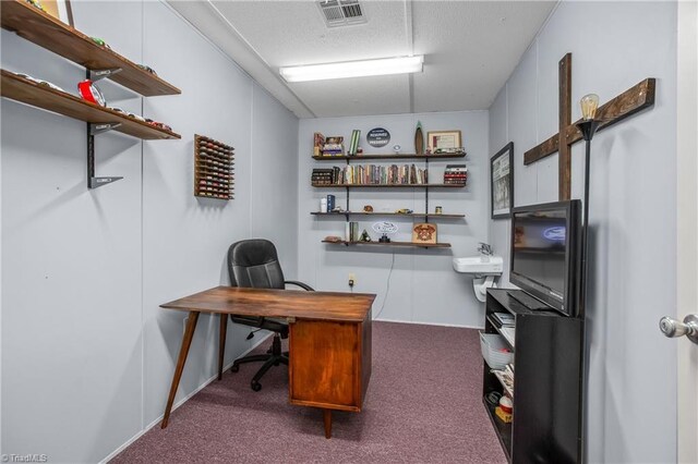 1255 Mountain View Rd, King, NC 27021 - office area with visible vents, a textured ceiling, and carpet