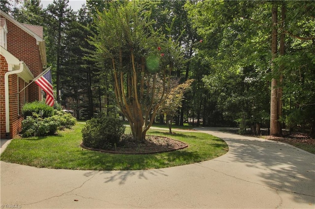 view of home's community featuring a lawn