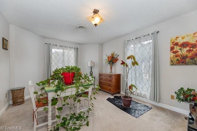 carpeted dining area featuring a textured ceiling