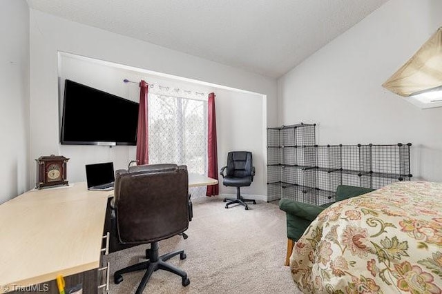 carpeted bedroom with lofted ceiling