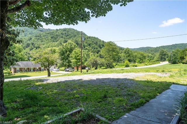4362 Parsonsville Rd, Purlear, NC 28665 - view of yard with a view of trees