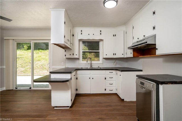 4362 Parsonsville Rd, Purlear, NC 28665 - kitchen featuring dishwasher, under cabinet range hood, a sink, a textured ceiling, and dark wood finished floors