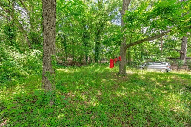1515 Tucker St, Greensboro, NC 27405 - view of yard featuring a view of trees