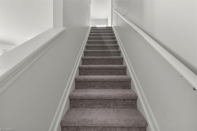 staircase featuring carpet flooring